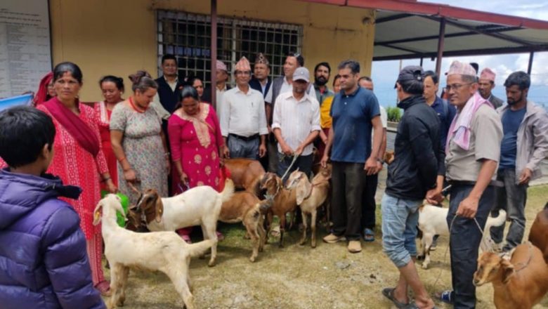 अपांगता भएका व्यक्तिहरुलाई बाख्रा बितरण